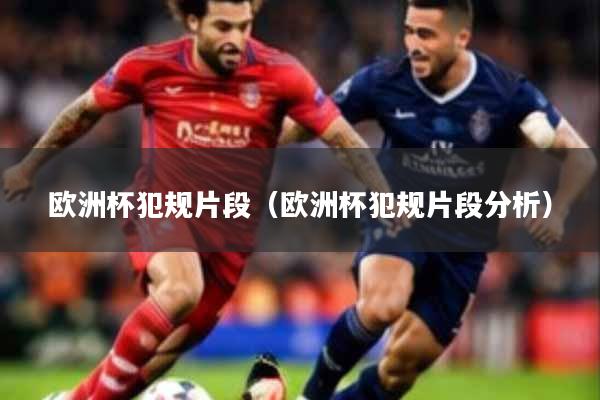 欧洲杯犯规片段（欧洲杯犯规片段分析）
