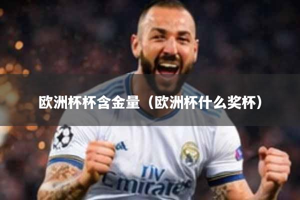 欧洲杯杯含金量（欧洲杯什么奖杯）