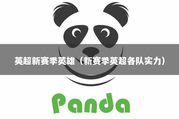 英超新赛季英雄（新赛季英超各队实力）