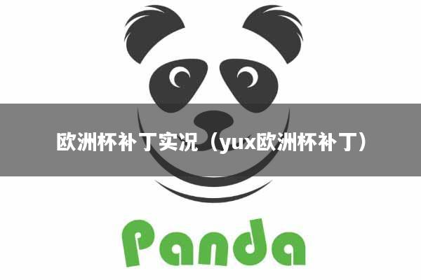 欧洲杯补丁实况（yux欧洲杯补丁）