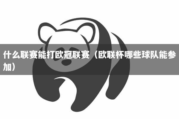 什么联赛能打欧冠联赛（欧联杯哪些球队能参加）