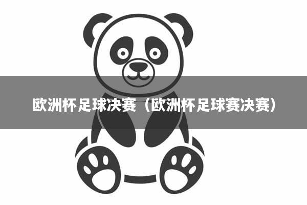 欧洲杯足球决赛（欧洲杯足球赛决赛）