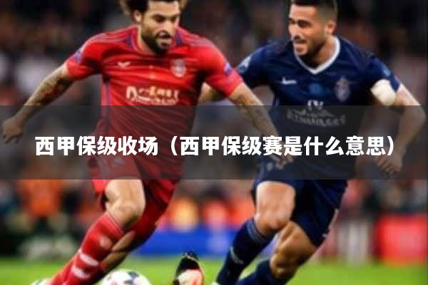 西甲保级收场（西甲保级赛是什么意思）