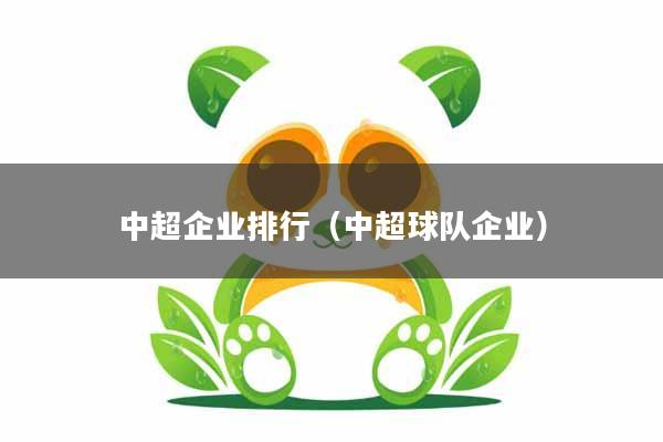中超企业排行（中超球队企业）