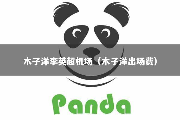 木子洋李英超机场（木子洋出场费）