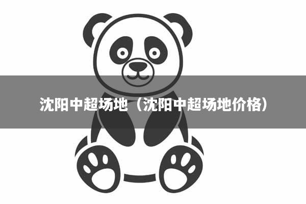 沈阳中超场地（沈阳中超场地价格）