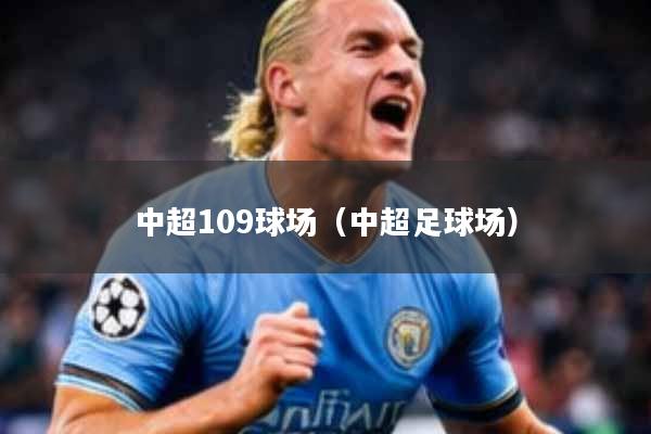 中超109球场（中超足球场）